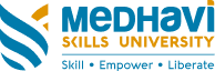 Medhavi Skills University