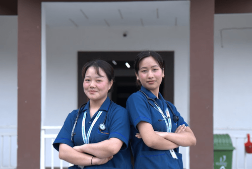 B.Sc in Nursing